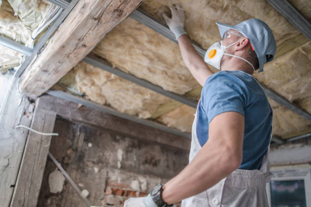 Best Eco-Friendly Insulation in Spout Springs, NC