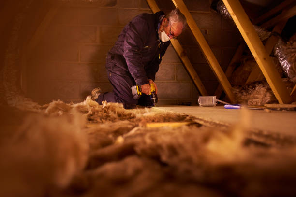 Best Insulation Maintenance and Repair in Spout Springs, NC